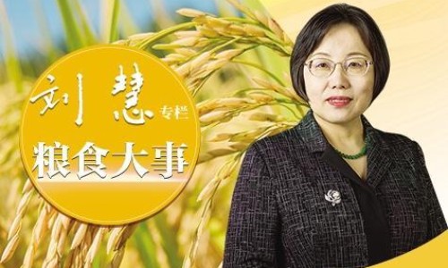 腰椎pkp手术的后遗症-腰椎PVP手术术后护理-腰椎PKP手术后戴护具走路要注意什么,中国腰椎pkp术后用药原则网站